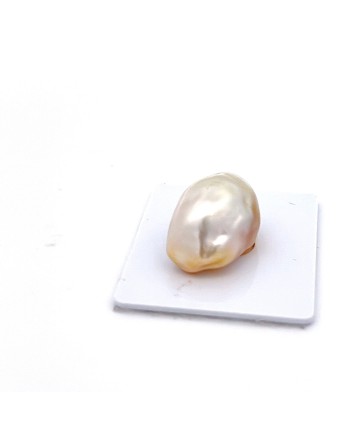 14.01mm South Sea pearl , origin Philippines , fine  grade