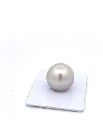 15mm+ fine  grade Tahitian Black pearl, French Polynesia  