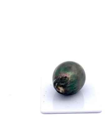 17mm+ fine  grade Tahitian Black pearl, French Polynesia  