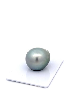 17mm+ jewel  grade Tahitian Black pearl, French Polynesia  