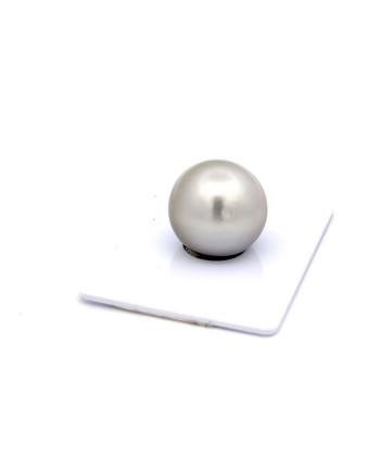 15.45mm Tahitian Black pearl , origin French Polynesia   , jewel  grade