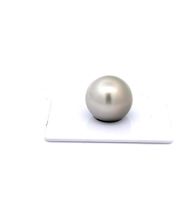 15mm+ jewel  grade Tahitian Black pearl, French Polynesia  