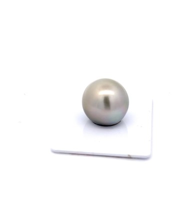 15mm+ jewel  grade Tahitian Black pearl, French Polynesia  