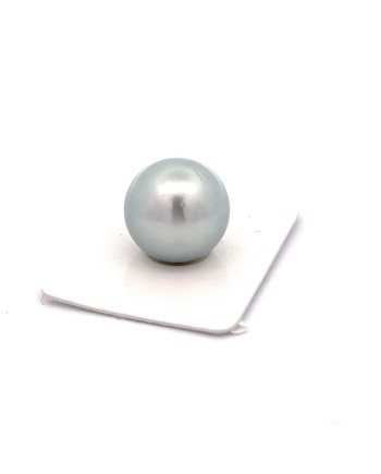 15mm+ fine  grade Tahitian Black pearl, French Polynesia  