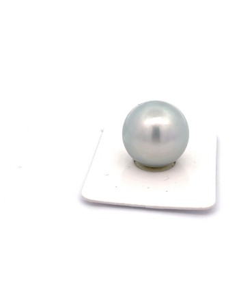 15mm+ fine  grade Tahitian Black pearl, French Polynesia  