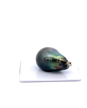 17mm+ fine  grade Tahitian Black pearl, French Polynesia  