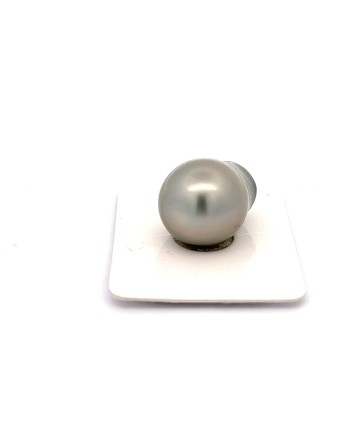 12mm+ jewel  grade Tahitian Black pearl, French Polynesia  