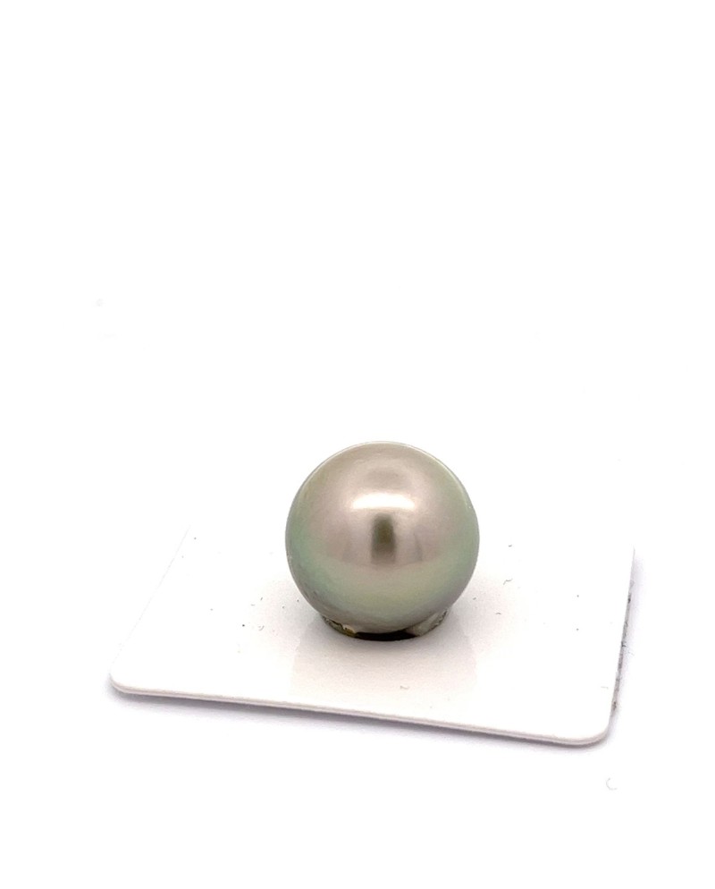 15mm+ jewel  grade Tahitian Black pearl, French Polynesia  