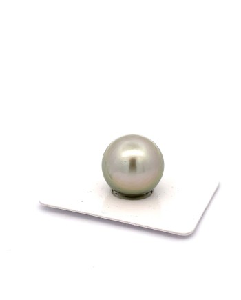 15mm+ jewel  grade Tahitian Black pearl, French Polynesia  