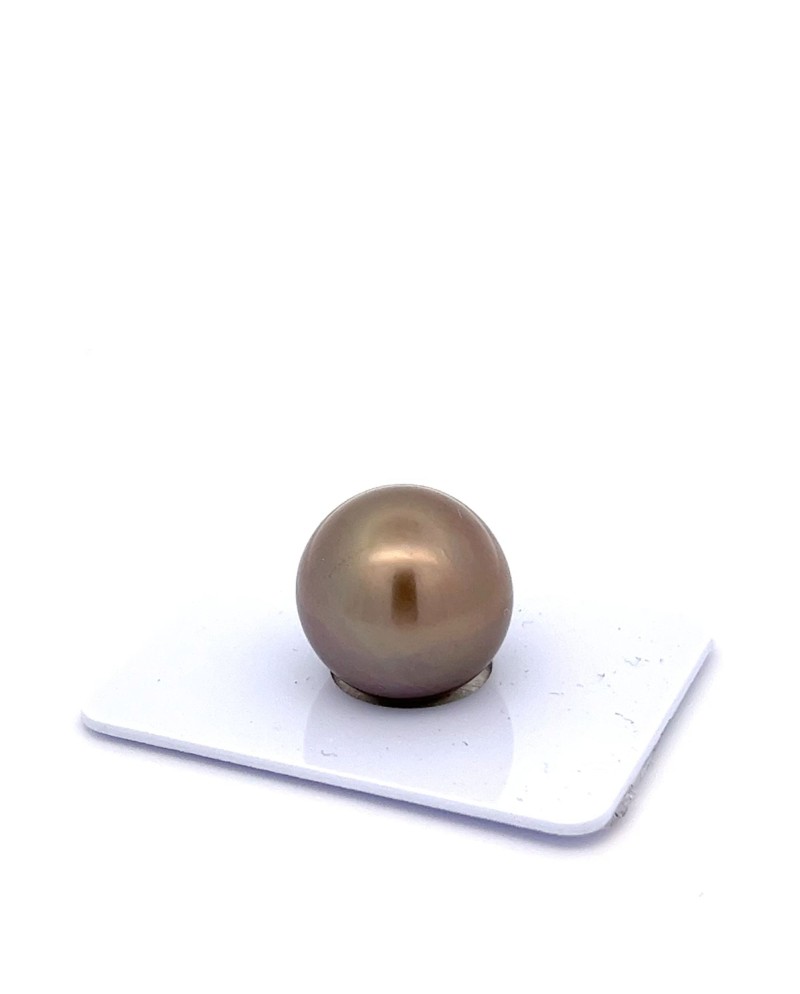 15mm+ fine  grade Tahitian Black pearl, French Polynesia  