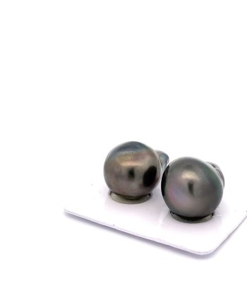 15.08x14.78mm Tahitian Black pearl , origin French Polynesia   , jewel  grade