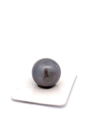 15mm+ jewel  grade Tahitian Black pearl, French Polynesia  