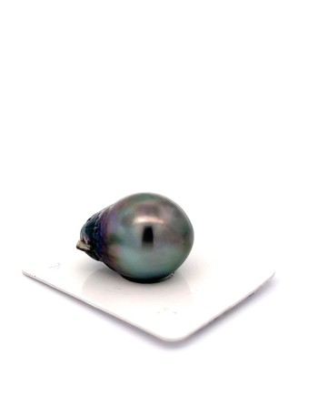 15mm+ jewel  grade Tahitian Black pearl, French Polynesia  