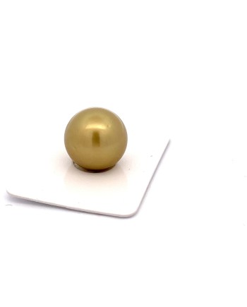 15mm+ fine  grade Tahitian Black pearl, French Polynesia  