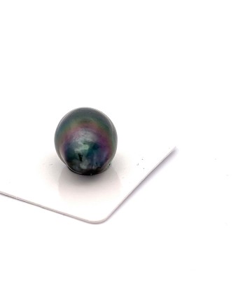 15mm+ jewel  grade Tahitian Black pearl, French Polynesia  
