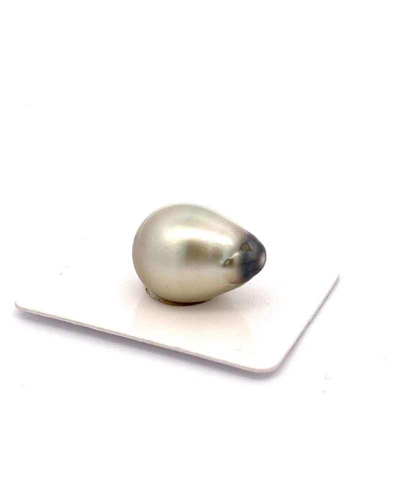 12mm+ jewel  grade Tahitian Black pearl, French Polynesia  