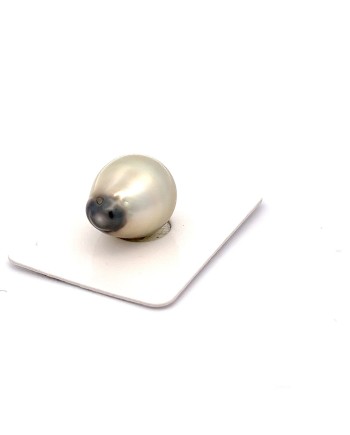 14.07mm Tahitian Black pearl , origin French Polynesia   , jewel  grade