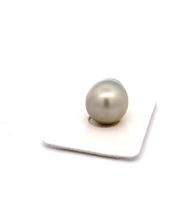 12mm+ jewel  grade Tahitian Black pearl, French Polynesia  