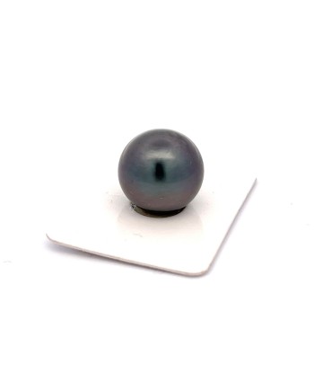 15mm+ jewel  grade Tahitian Black pearl, French Polynesia  