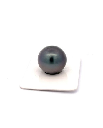 15mm+ jewel  grade Tahitian Black pearl, French Polynesia  