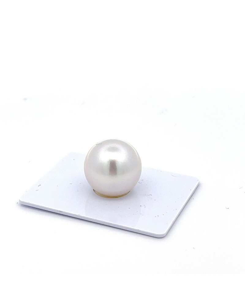 15mm+ gem  grade South Sea pearl, Australia