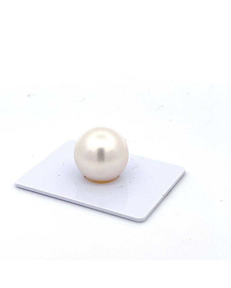 15mm+ gem  grade South Sea pearl, Australia