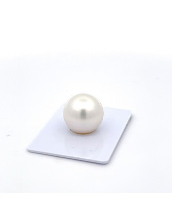 15mm+ gem  grade South Sea pearl, Australia