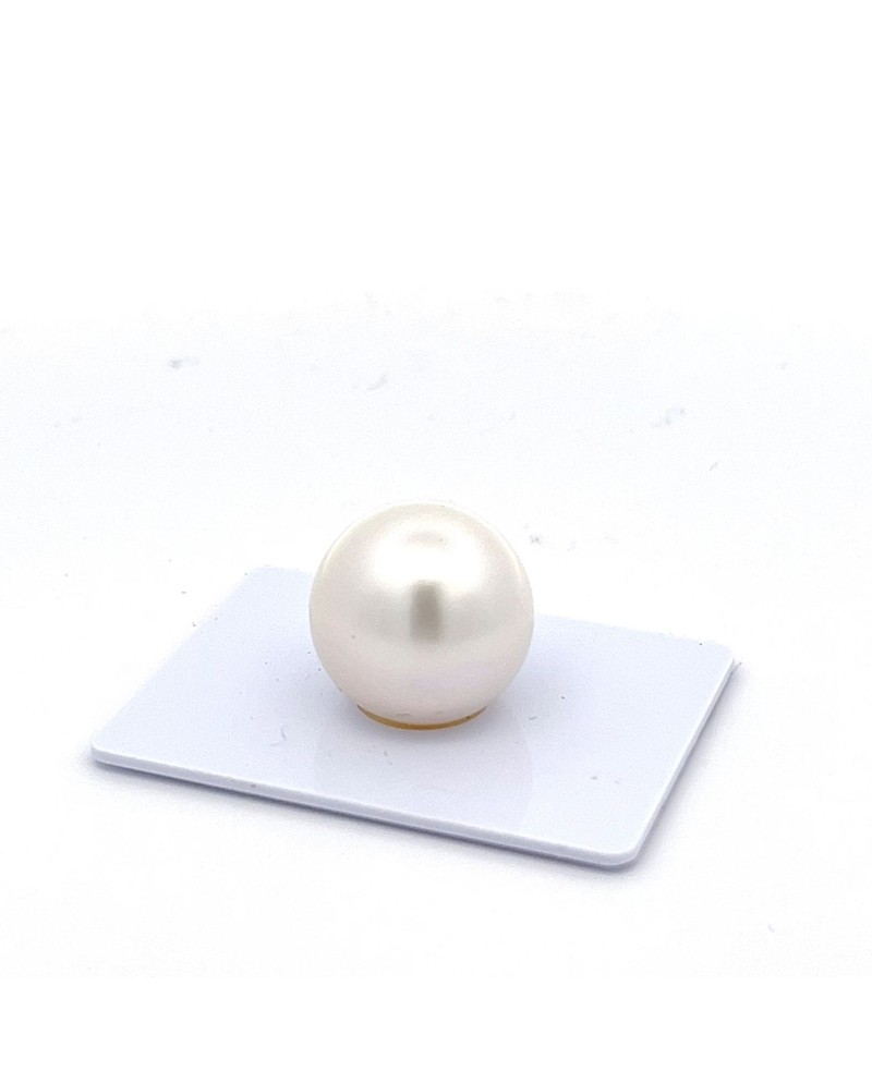 16.3mm South Sea pearl , origin Australia , gem  grade