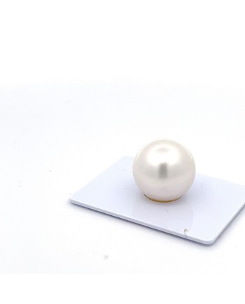 15mm+ gem  grade South Sea pearl, Australia
