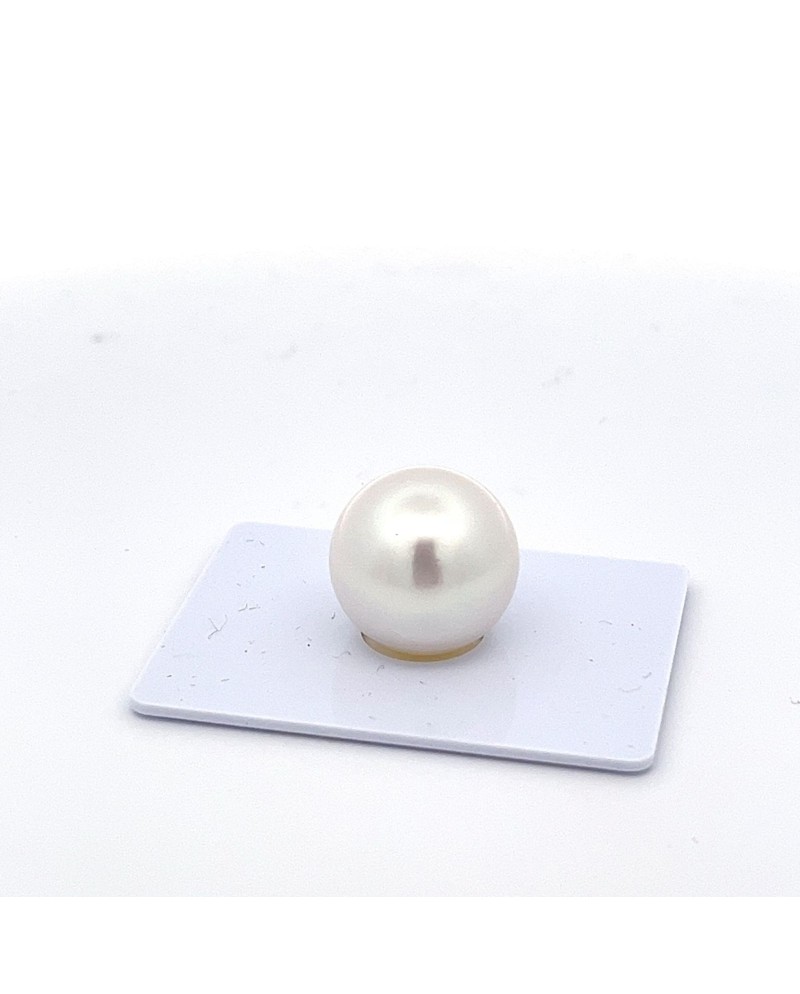 15mm+ gem  grade South Sea pearl, Australia