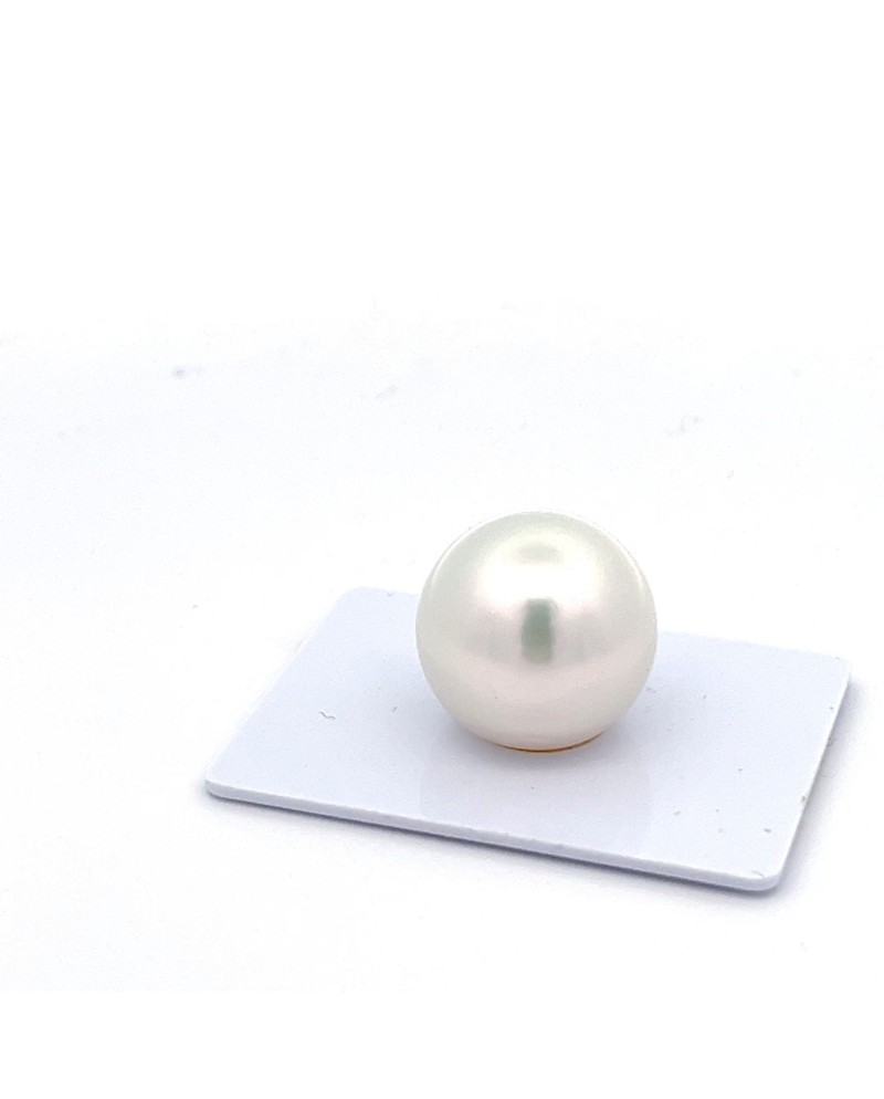 15mm+ gem  grade South Sea pearl, Australia