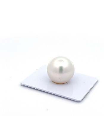 15mm+ gem  grade South Sea pearl, Australia