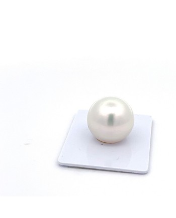 15mm+ gem  grade South Sea pearl, Australia