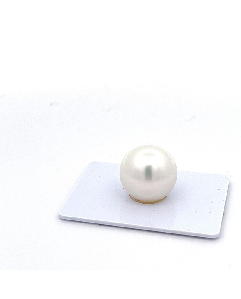 15mm+ gem  grade South Sea pearl, Australia