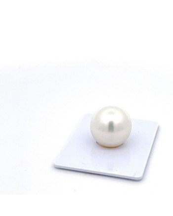 15mm+ gem  grade South Sea pearl, Australia