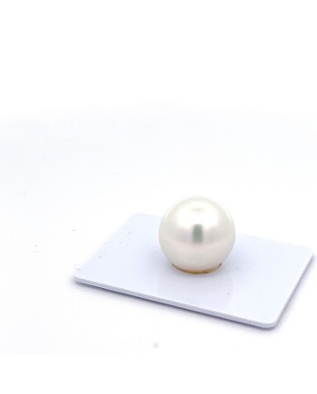 15mm+ gem  grade South Sea pearl, Australia
