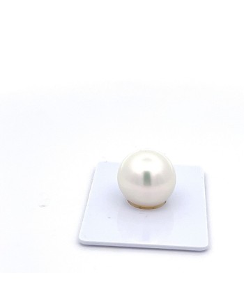15mm+ gem  grade South Sea pearl, Australia