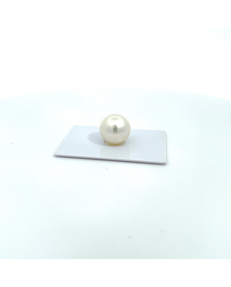 15mm+ fine  grade South Sea pearl, Australia