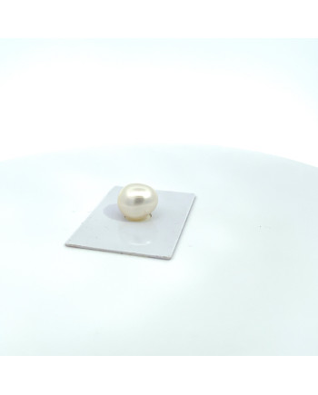 12mm+ jewel  grade South Sea pearl, Australia