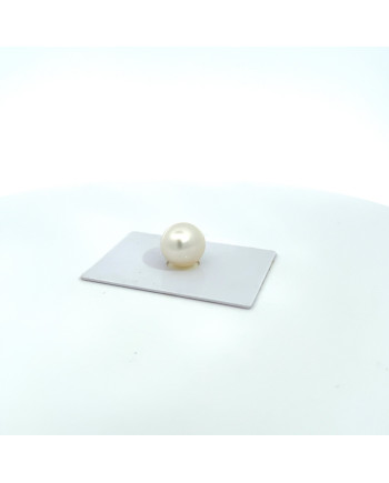 12mm+ jewel  grade South Sea pearl, Australia