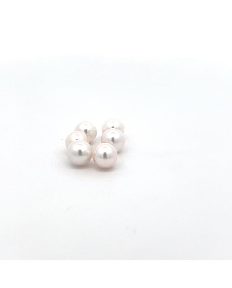 6mm+ gem  grade Freshwater pearl, China