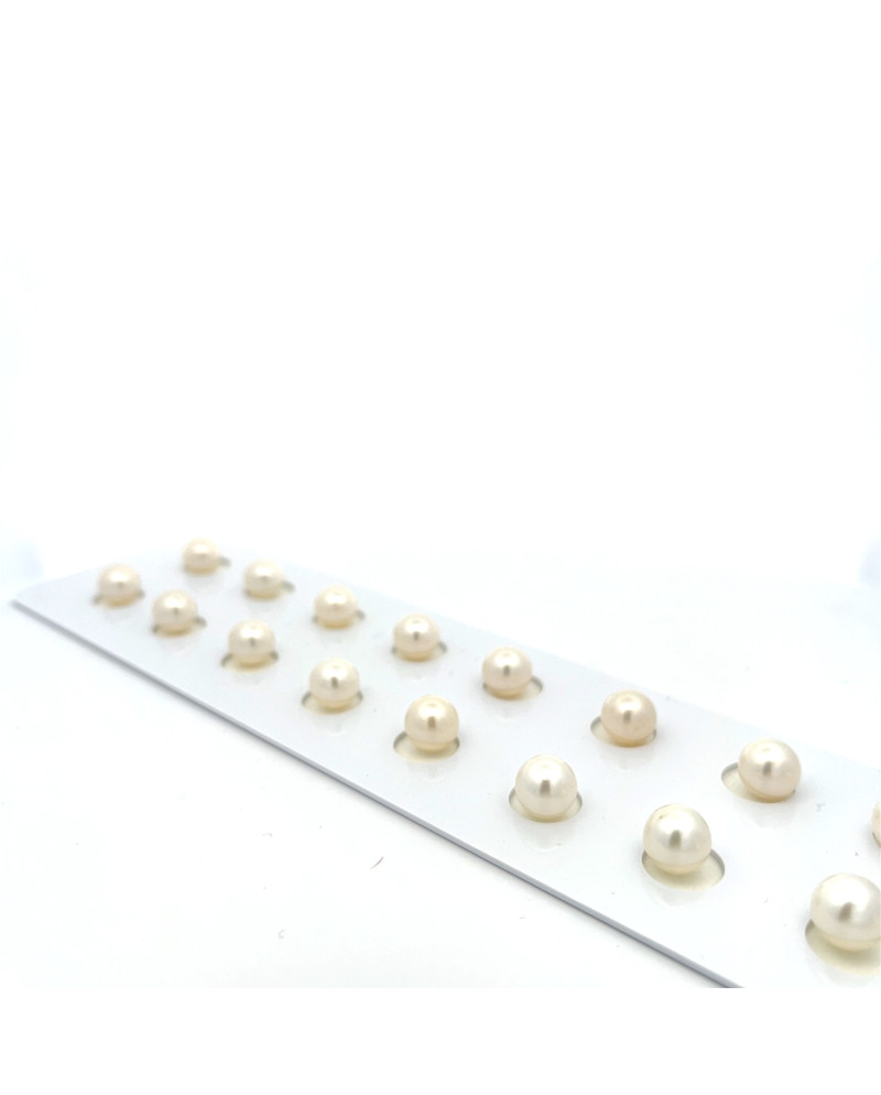 6mm+ fine  grade South Sea pearl, Indonesia