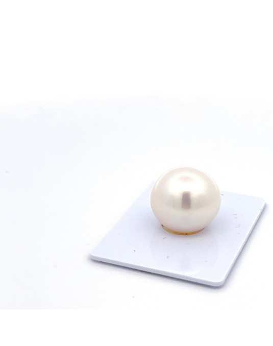 15mm+ gem  grade South Sea pearl, Australia