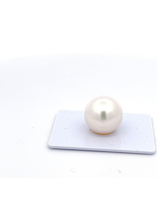 15mm+ gem  grade South Sea pearl, Australia
