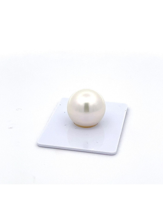 15mm+ gem  grade South Sea pearl, Australia