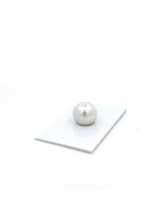 12mm+ jewel  grade South Sea pearl, Australia