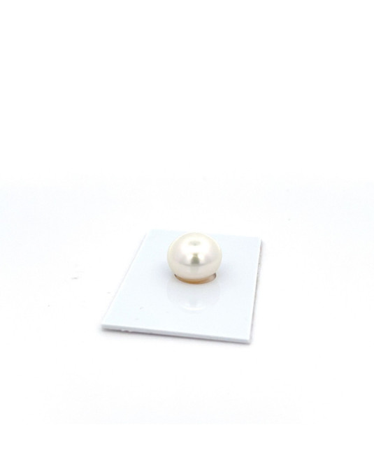11.51x13.03mm South Sea pearl , origin Australia , fine  grade