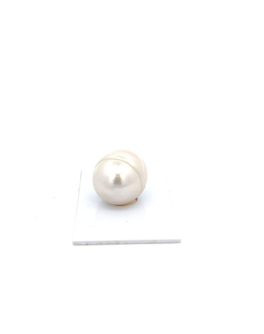 20.50x17.46mm South Sea pearl , origin Australia , jewel  grade