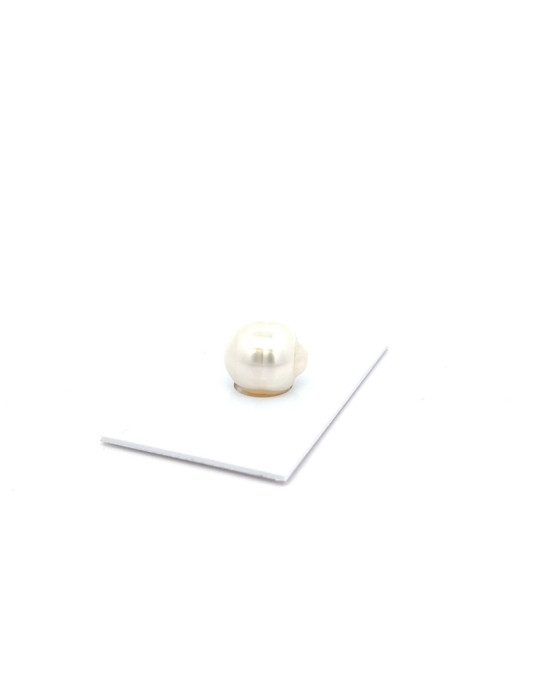 14.08x12.37mm South Sea pearl , origin Australia , jewel  grade