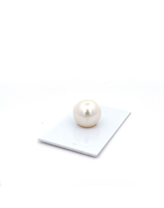 15.27x15mm South Sea pearl , origin Australia , jewel  grade